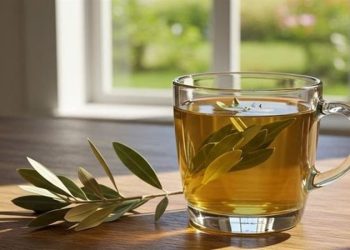 فوائد ورق الزيتون للصحة وطريقة تحضيره وأبرز أضراره