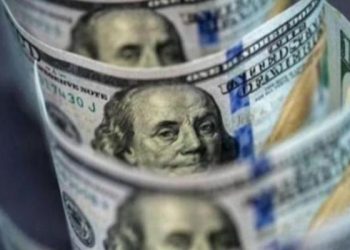 أسعار الدولار في مصر الخميس 15 أكتوبر