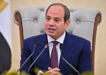 الرئيس السيسى: مخططات النيل من استقرار مصر لم تتوقف.. ولن يستطيع أحد أن يمس أمنها