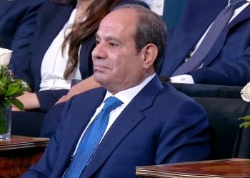الرئيس السيسي: الحفاظ على الدولة المصرية مسؤولية الجميع.. والاستقرار تحقق بتضحيات كبيرة