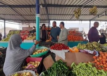 سعر الخضار والفاكهة اليوم الخميس 1 أكتوبر في مصر