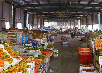 سعر الخضار والفاكهة اليوم الخميس 8 أكتوبر  في مصر