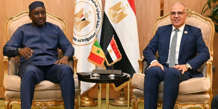 سويلم يبحث مع وزير المياه السنغالي توحيد الرؤية الأفريقية لقضايا المياه قبيل أسبوع القاهرة التاسع للمياه