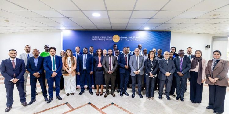 البنك المركزي يدعم البنوك المركزية بدول الكوميسا في ” دمج المخاطر المناخية في اختبارات الضغوط الجزئية والكلية”