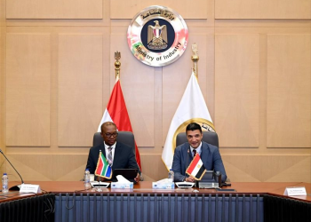 وزير الصناعة ونظيره الجنوب إفريقي يبحثان تعزيز التكامل الصناعي والتعاون في قطاع السيارات