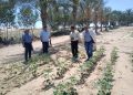 “الزراعة” تستعرض جهود “بحوث الصحراء” لتحقيق التنمية الزراعية في سيناء خلال عام