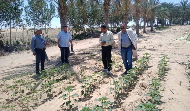 “الزراعة” تستعرض جهود “بحوث الصحراء” لتحقيق التنمية الزراعية في سيناء خلال عام