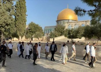 مصر تدين اقتحام المستوطنين الإسرائيليين للمسجد الأقصى المبارك