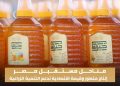 “مناحل مستقبل مصر”.. رؤية متكاملة لتطوير إنتاج العسل وتعظيم الاستفادة من الموارد الزراعية