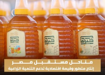 “مناحل مستقبل مصر”.. رؤية متكاملة لتطوير إنتاج العسل وتعظيم الاستفادة من الموارد الزراعية