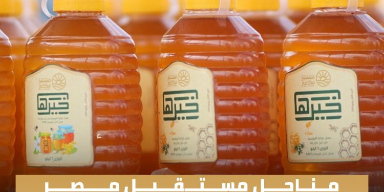 “مناحل مستقبل مصر”.. رؤية متكاملة لتطوير إنتاج العسل وتعظيم الاستفادة من الموارد الزراعية