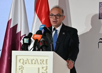 وزير الاستثمار ..القطاع الخاص يستحوذ على نحو 65% من إجمالي الاستثمارات في مصر