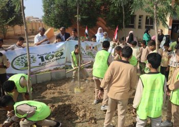 وزيرة التنمية المحلية والبيئة تعلن بدء توريد وزراعة 3620 شجرة بمحافظة بني سويف بالطرق والمحاور الرئيسية والمدارس
