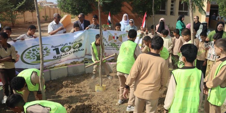 وزيرة التنمية المحلية والبيئة تعلن بدء توريد وزراعة 3620 شجرة بمحافظة بني سويف بالطرق والمحاور الرئيسية والمدارس