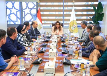 التنمية المحلية والبيئة تتابعان أعمال 5 شركات للنظافة بالقاهرة والإسكندرية