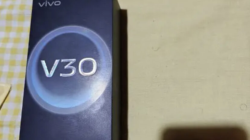 vivo v 30