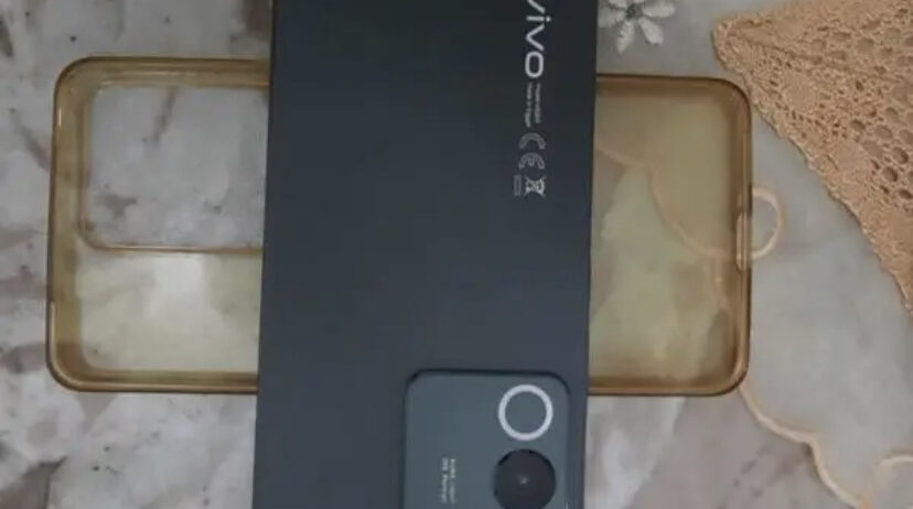 vivo v29